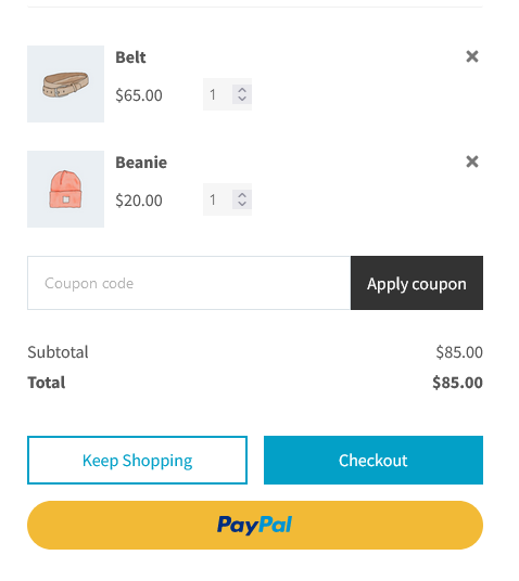 The 9 Best WooCommerce Express Checkout Plugins of 2022